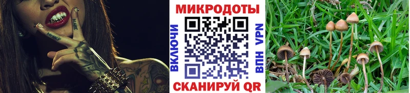 как найти наркотики Буй Галлюциногенные грибы Cubensis
